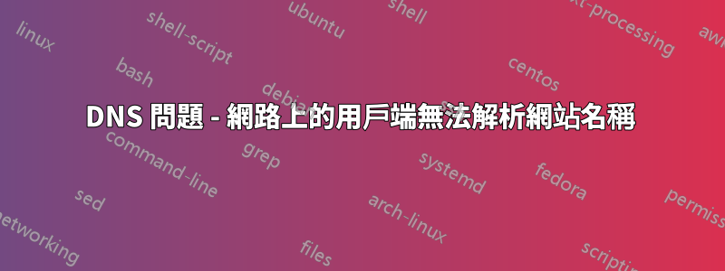 DNS 問題 - 網路上的用戶端無法解析網站名稱