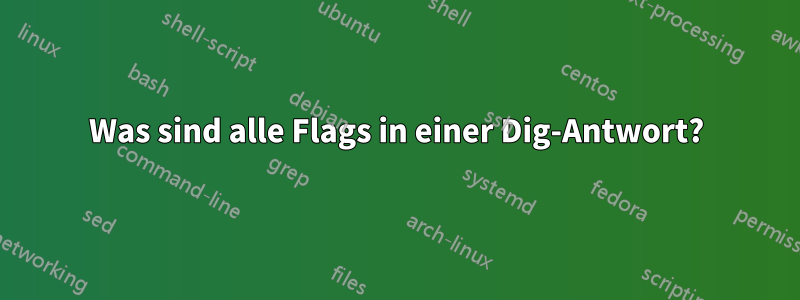 Was sind alle Flags in einer Dig-Antwort?