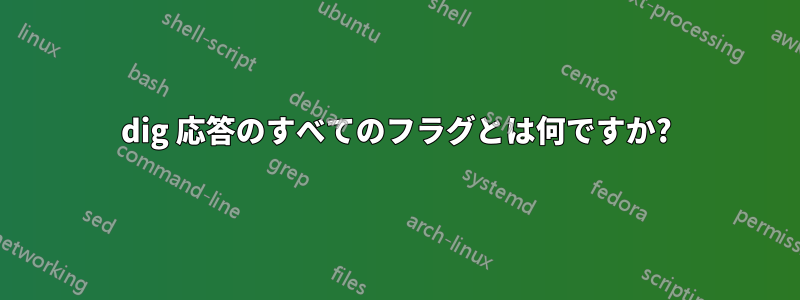 dig 応答のすべてのフラグとは何ですか?