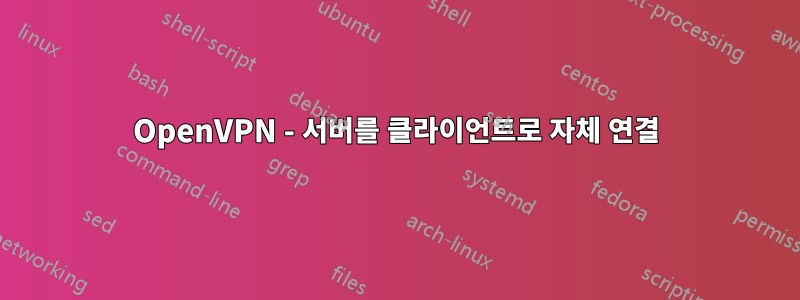 OpenVPN - 서버를 클라이언트로 자체 연결