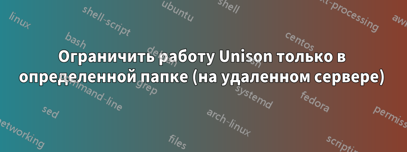 Ограничить работу Unison только в определенной папке (на удаленном сервере)