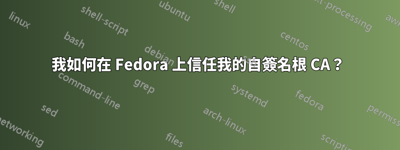 我如何在 Fedora 上信任我的自簽名根 CA？