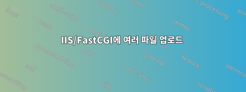 IIS/FastCGI에 여러 파일 업로드