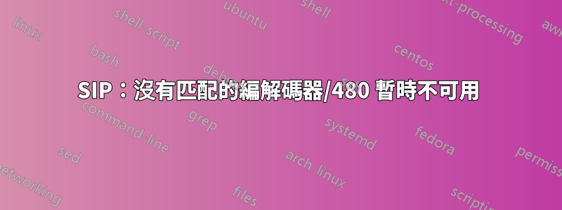 SIP：沒有匹配的編解碼器/480 暫時不可用