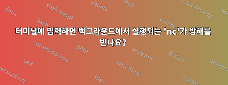 터미널에 입력하면 백그라운드에서 실행되는 'nc'가 방해를 받나요?