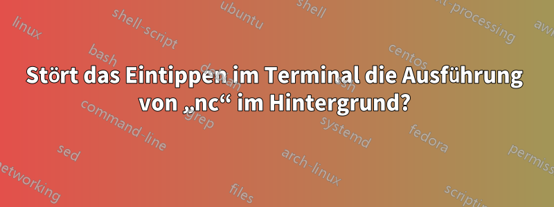 Stört das Eintippen im Terminal die Ausführung von „nc“ im Hintergrund?