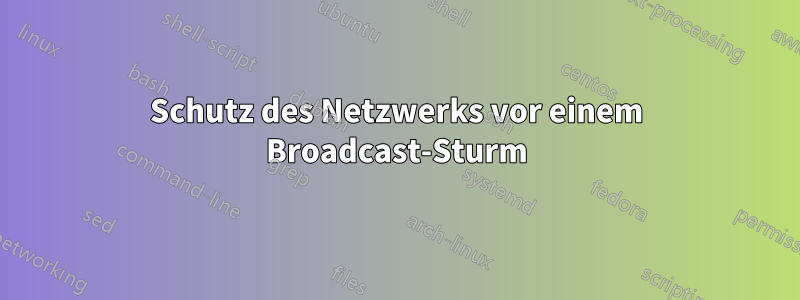 Schutz des Netzwerks vor einem Broadcast-Sturm