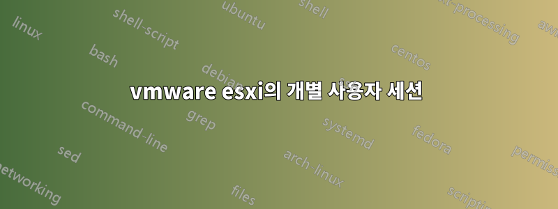 vmware esxi의 개별 사용자 세션