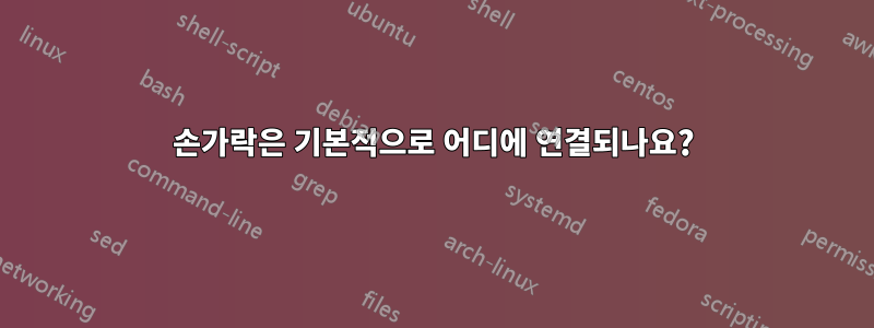 손가락은 기본적으로 어디에 연결되나요?