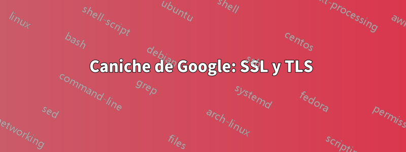 Caniche de Google: SSL y TLS