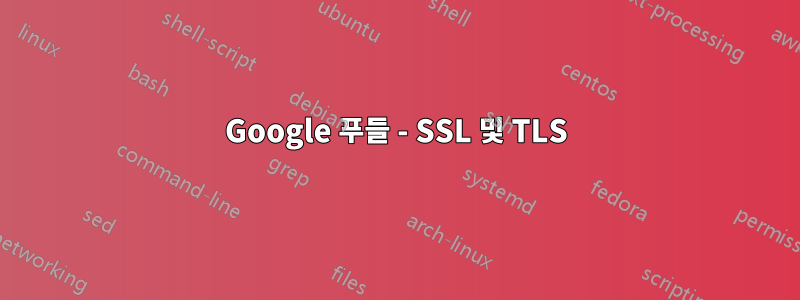 Google 푸들 - SSL 및 TLS