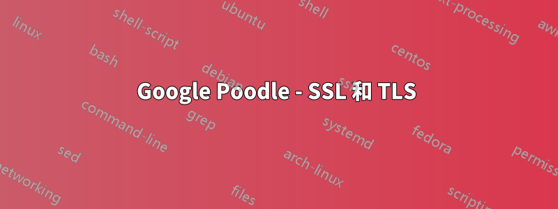 Google Poodle - SSL 和 TLS