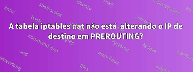 A tabela iptables nat não está alterando o IP de destino em PREROUTING?
