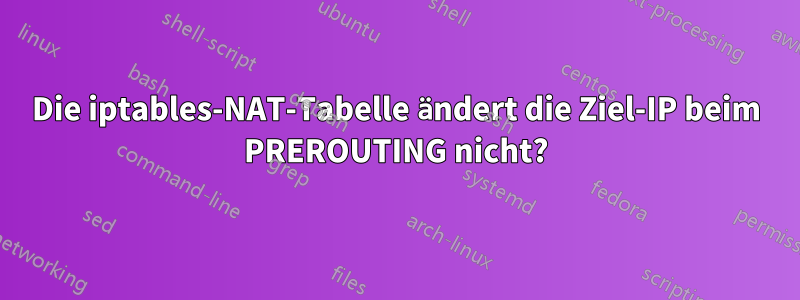 Die iptables-NAT-Tabelle ändert die Ziel-IP beim PREROUTING nicht?
