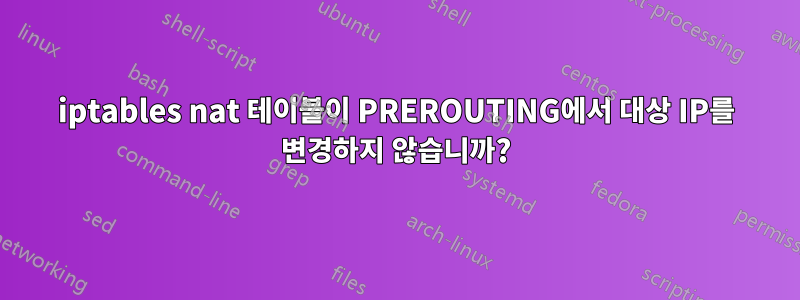 iptables nat 테이블이 PREROUTING에서 대상 IP를 변경하지 않습니까?