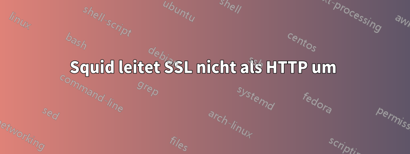 Squid leitet SSL nicht als HTTP um