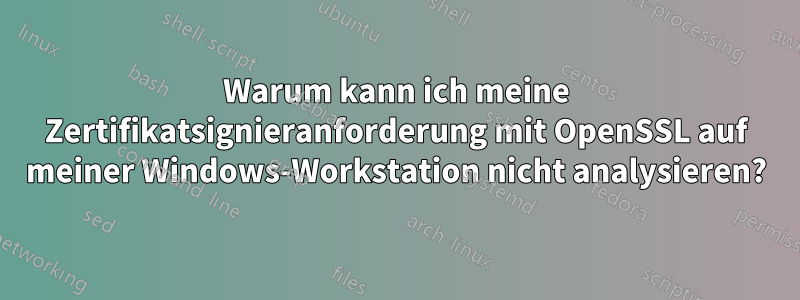 Warum kann ich meine Zertifikatsignieranforderung mit OpenSSL auf meiner Windows-Workstation nicht analysieren?