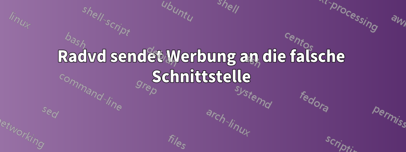 Radvd sendet Werbung an die falsche Schnittstelle