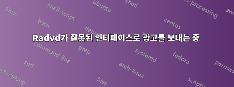 Radvd가 잘못된 인터페이스로 광고를 보내는 중