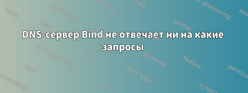 DNS-сервер Bind не отвечает ни на какие запросы