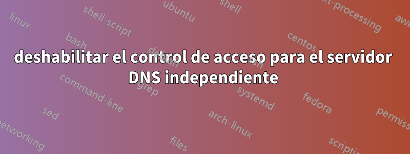 deshabilitar el control de acceso para el servidor DNS independiente