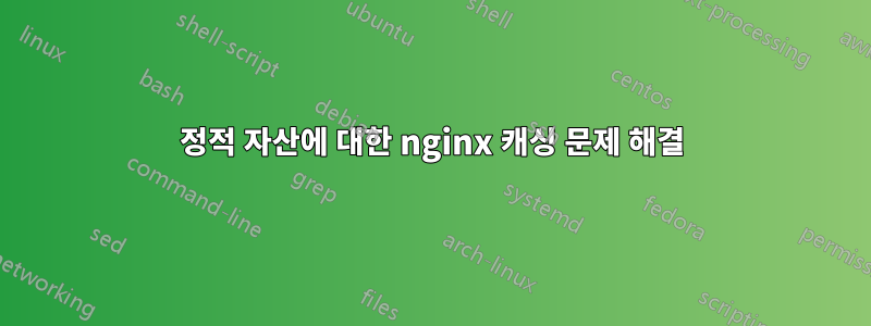 정적 자산에 대한 nginx 캐싱 문제 해결
