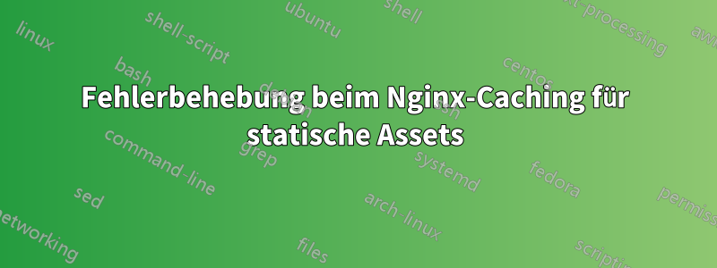 Fehlerbehebung beim Nginx-Caching für statische Assets
