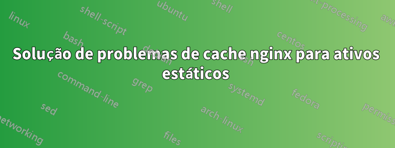 Solução de problemas de cache nginx para ativos estáticos