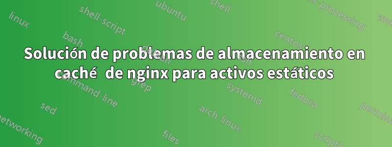 Solución de problemas de almacenamiento en caché de nginx para activos estáticos