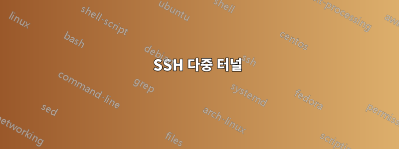 SSH 다중 터널