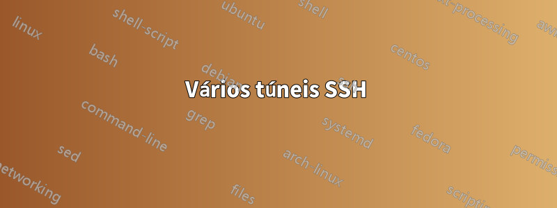 Vários túneis SSH