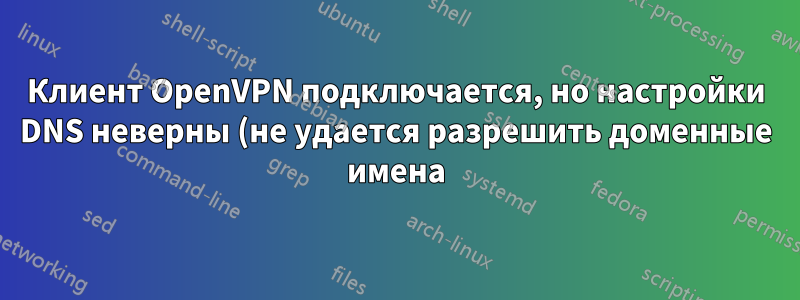 Клиент OpenVPN подключается, но настройки DNS неверны (не удается разрешить доменные имена)