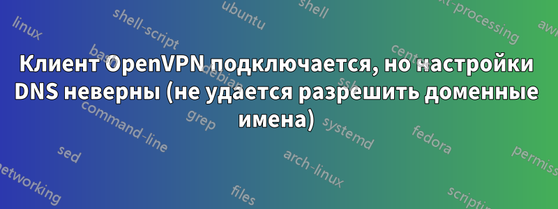 Клиент OpenVPN подключается, но настройки DNS неверны (не удается разрешить доменные имена)