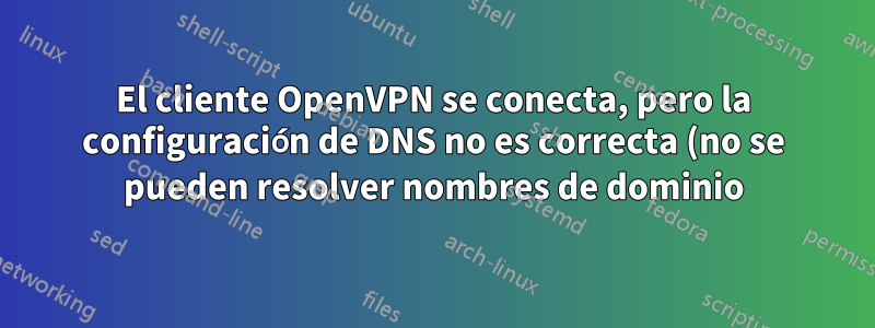 El cliente OpenVPN se conecta, pero la configuración de DNS no es correcta (no se pueden resolver nombres de dominio)