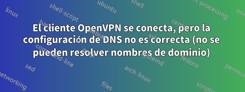 El cliente OpenVPN se conecta, pero la configuración de DNS no es correcta (no se pueden resolver nombres de dominio)