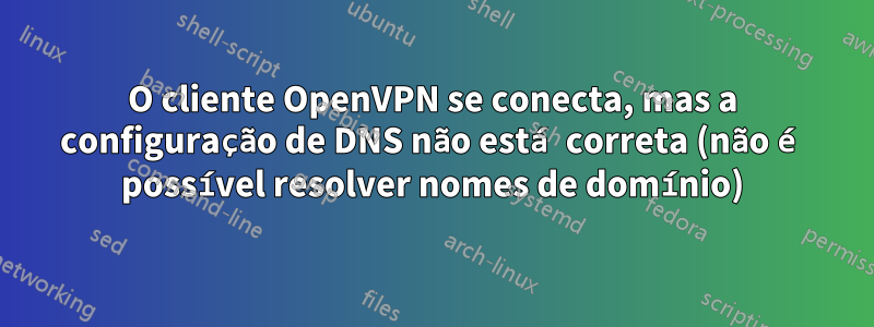 O cliente OpenVPN se conecta, mas a configuração de DNS não está correta (não é possível resolver nomes de domínio)