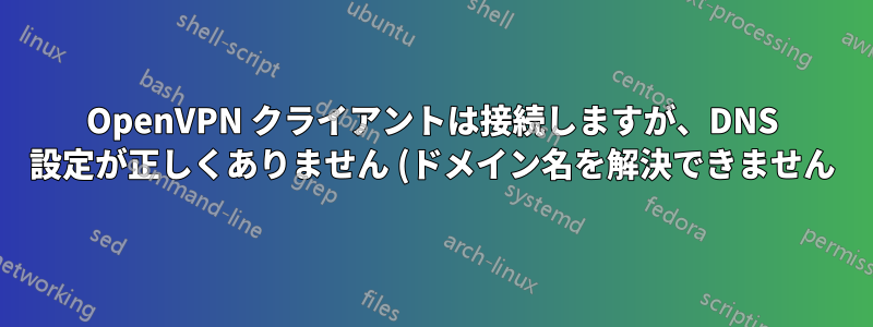 OpenVPN クライアントは接続しますが、DNS 設定が正しくありません (ドメイン名を解決できません)