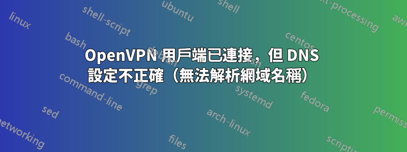OpenVPN 用戶端已連接，但 DNS 設定不正確（無法解析網域名稱）