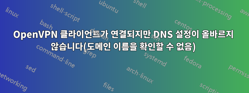 OpenVPN 클라이언트가 연결되지만 DNS 설정이 올바르지 않습니다(도메인 이름을 확인할 수 없음)