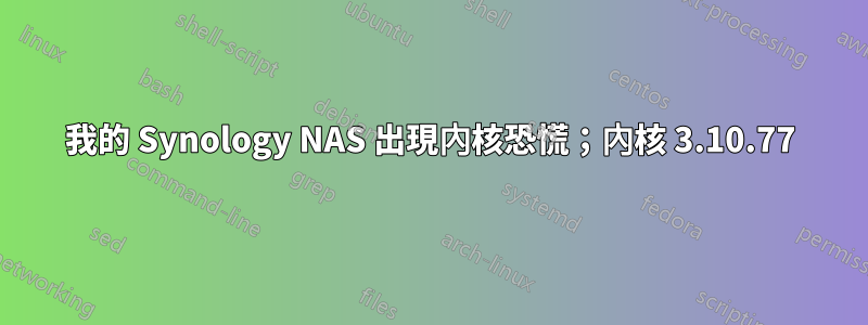 我的 Synology NAS 出現內核恐慌；內核 3.10.77