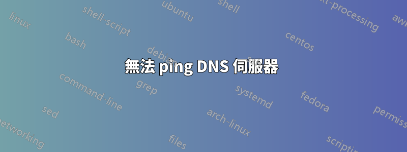 無法 ping DNS 伺服器