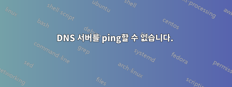 DNS 서버를 ping할 수 없습니다.