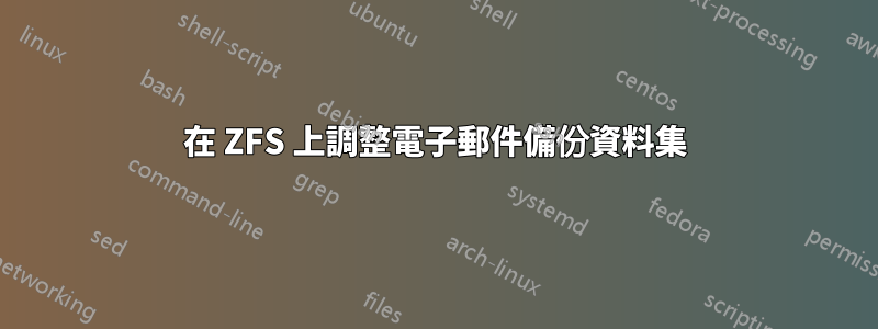 在 ZFS 上調整電子郵件備份資料集