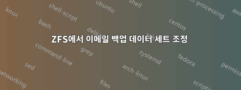 ZFS에서 이메일 백업 데이터 세트 조정