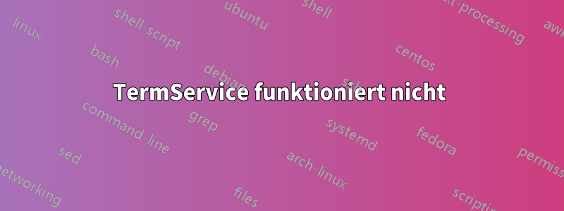 TermService funktioniert nicht