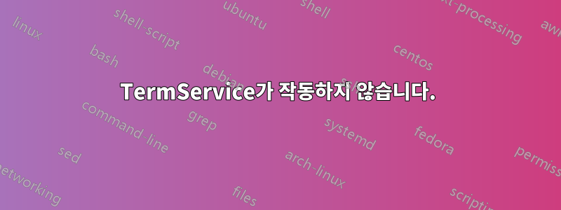 TermService가 작동하지 않습니다.