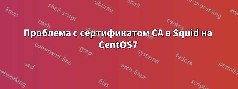 Проблема с сертификатом CA в Squid на CentOS7