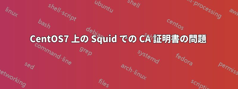 CentOS7 上の Squid での CA 証明書の問題