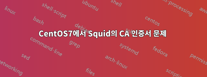 CentOS7에서 Squid의 CA 인증서 문제