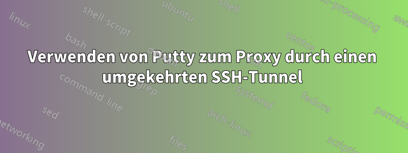 Verwenden von Putty zum Proxy durch einen umgekehrten SSH-Tunnel